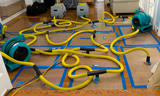 Professional Water Damage Restoration technician working in Dublin, IN